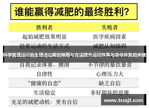 科学管理运动后生理适应期的策略与方法提升运动效果与身体恢复的关键