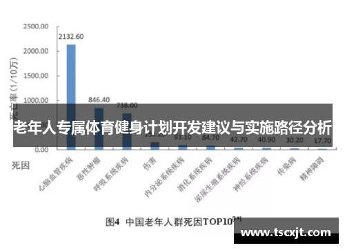 老年人专属体育健身计划开发建议与实施路径分析
