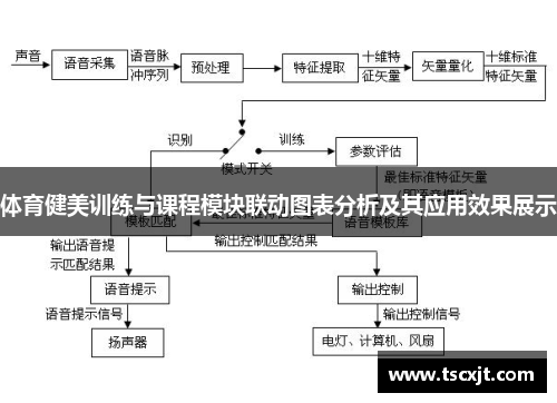 体育健美训练与课程模块联动图表分析及其应用效果展示