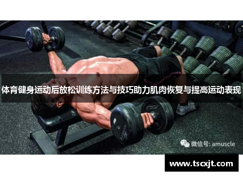 体育健身运动后放松训练方法与技巧助力肌肉恢复与提高运动表现