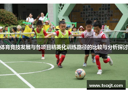 体育竞技发展与各项目精英化训练路径的比较与分析探讨